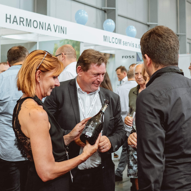 240503 harminia vini 02